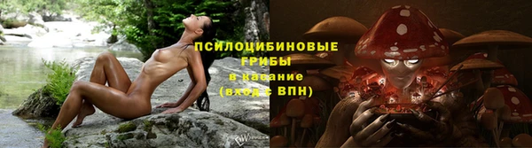 a pvp Абинск