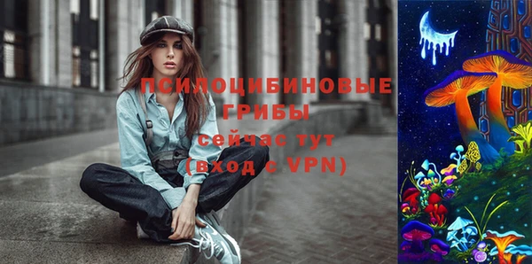 бошки Абдулино
