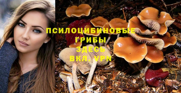 бошки Абдулино