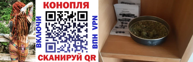 Бошки Шишки индика Пудож